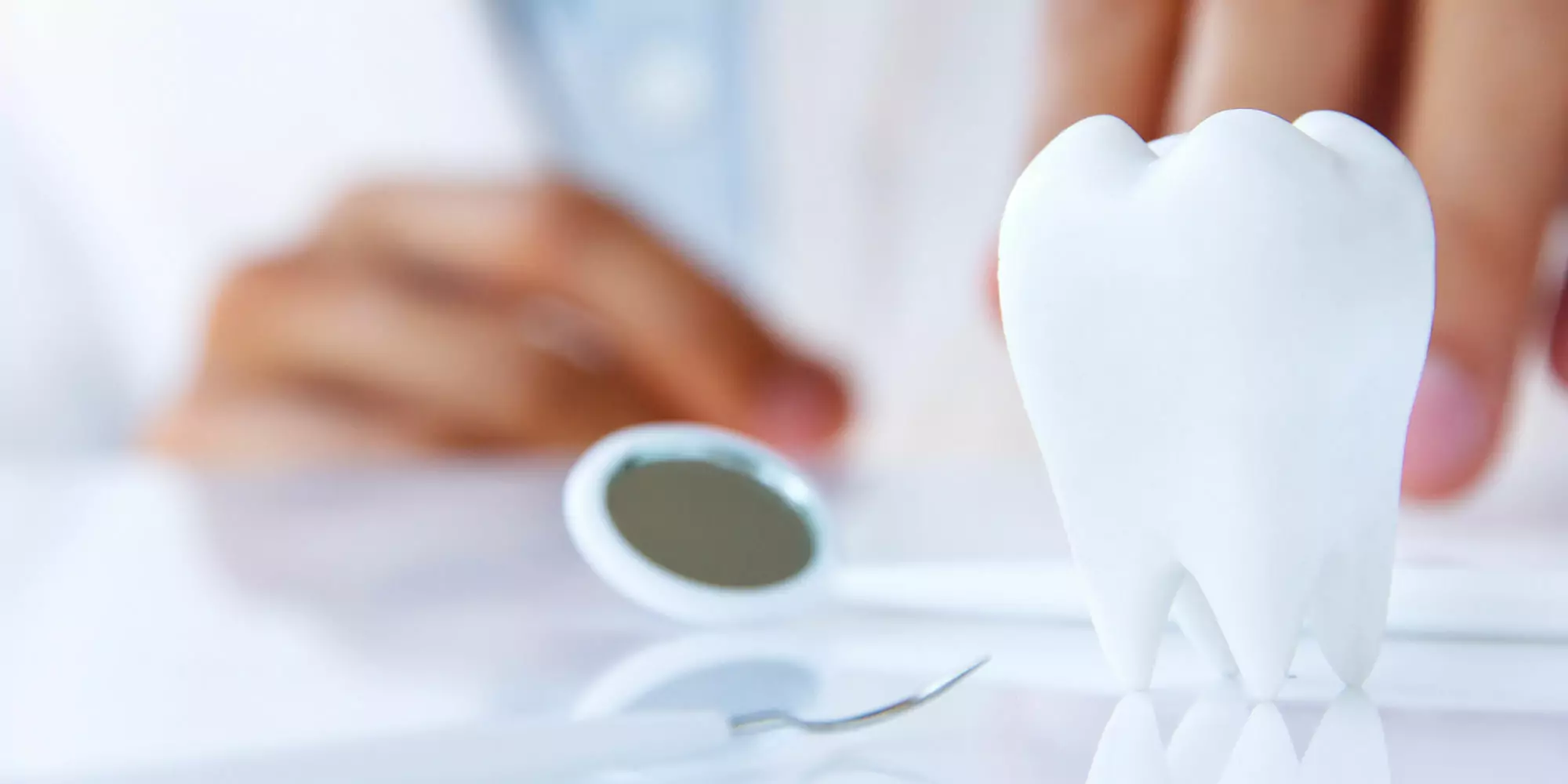 3d tooth and dental tools